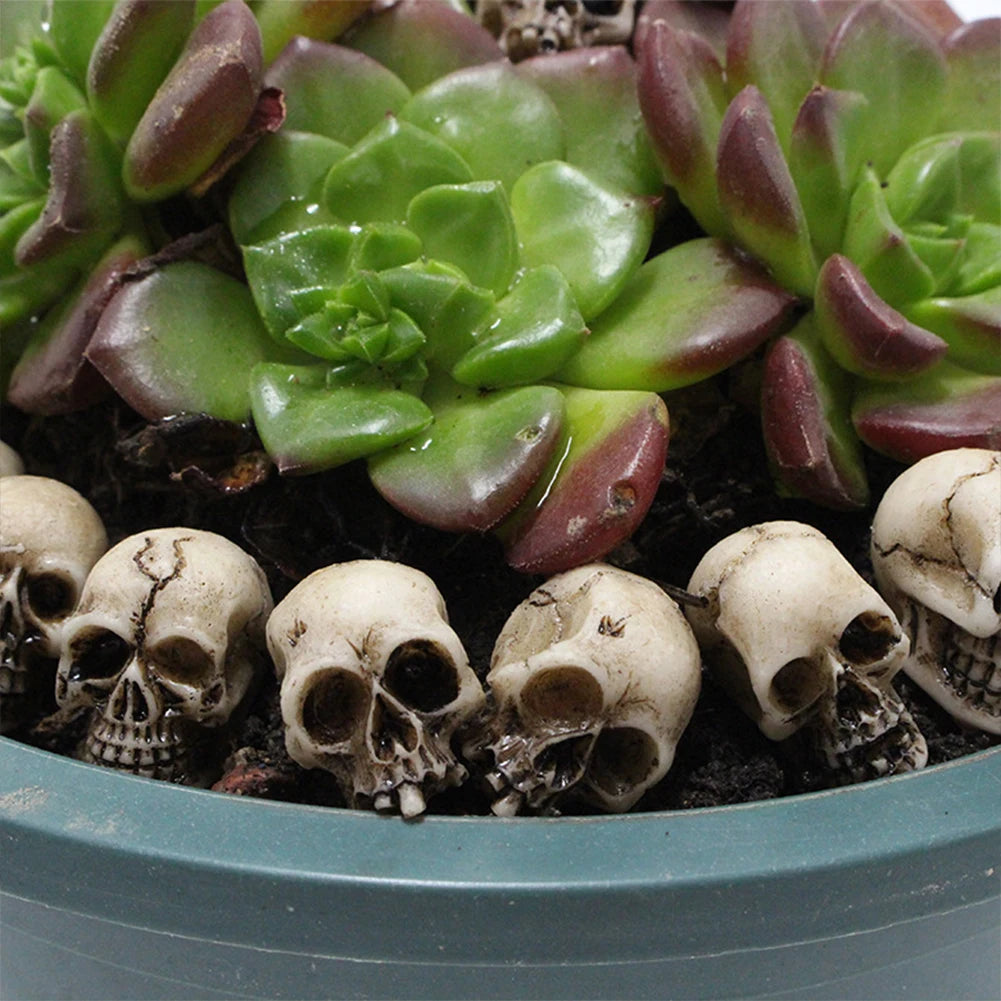 Mini Gothic Skull Set (20–60pcs) – Tiny Skeleton Heads for Halloween, Garden Decor, Witchcraft Crafts, Terrarium, Potted Plant Accessories