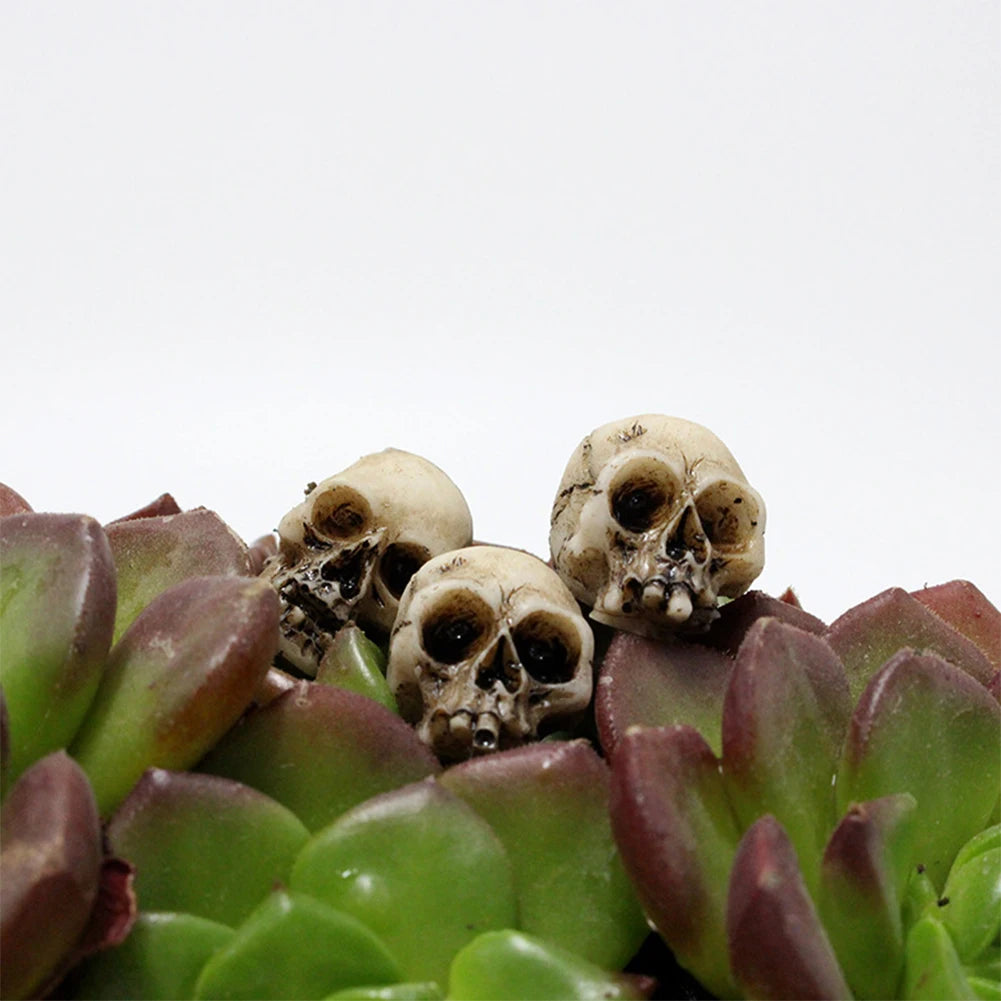 Mini Gothic Skull Set (20–60pcs) – Tiny Skeleton Heads for Halloween, Garden Decor, Witchcraft Crafts, Terrarium, Potted Plant Accessories